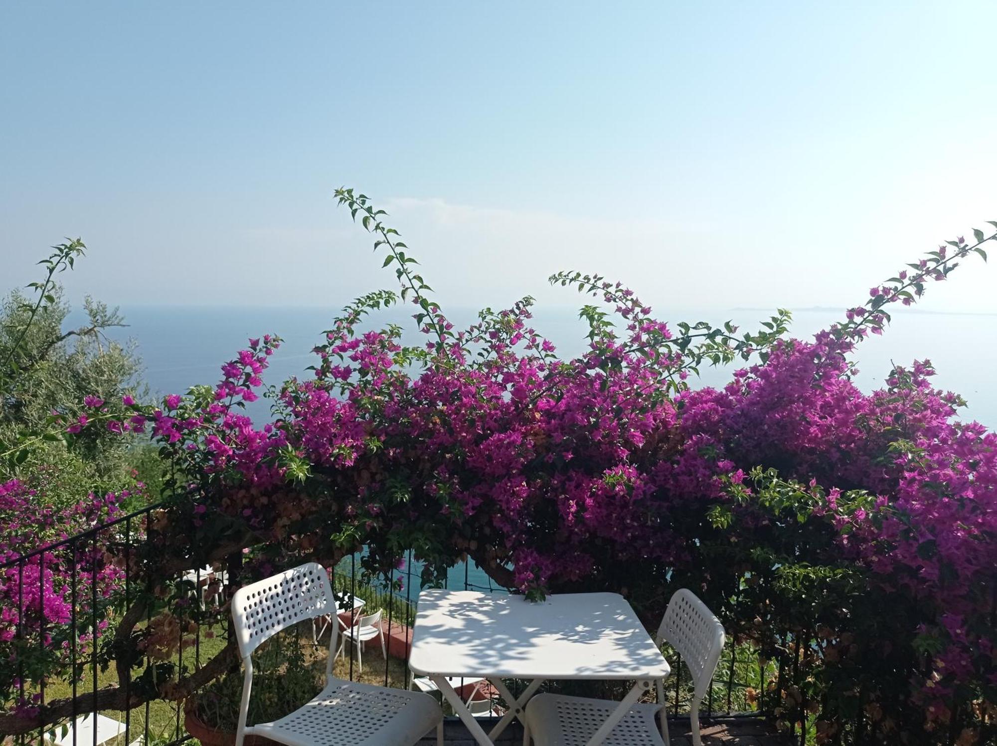 فيلا Mansarda Con Terrazzo Vista Mare أوليفيري المظهر الخارجي الصورة